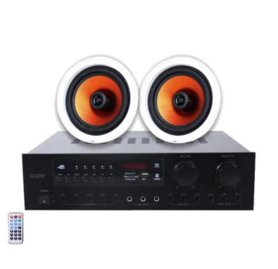 Amplificatore audio stereo a 2 canali con potenza elevata di 2 x 100 Watt per sistema audio home theater o applicazioni esterne